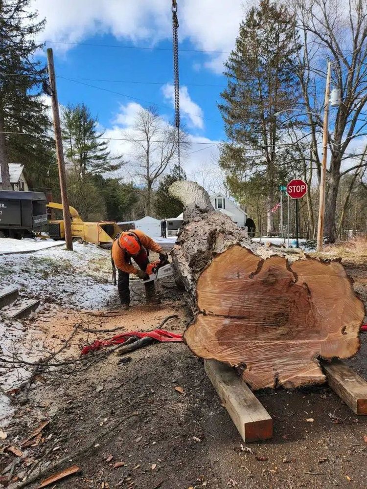 A crew sectioning a large log at a street-side removal
