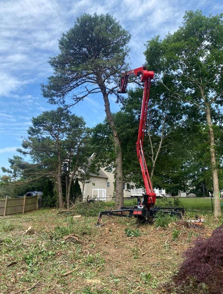 A compact articulating lift set up in a yard beside a tree