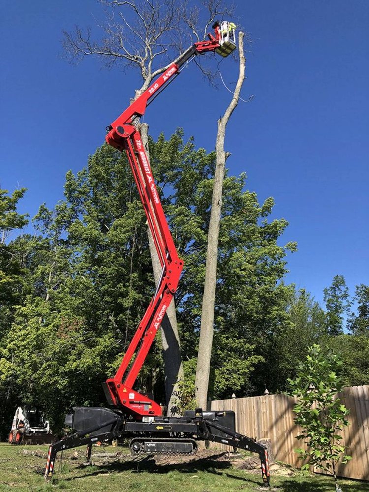 An articulating lift raised beside a tall tree